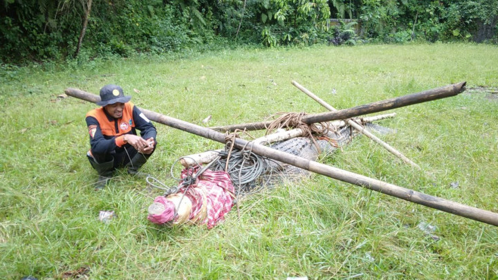 Lagi-Lagi, Buaya di Taman Wisata Akar Seribu Jepara Lepas
