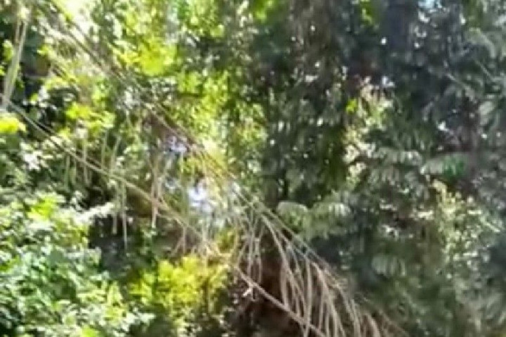 Seorang Prajurit TNI Hilang Terseret Arus di Sungai Digul Pegunungan Bintang