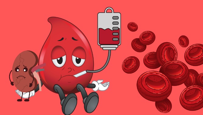 Anemia Menjadi Faktor Lain dari Penyebab Stunting