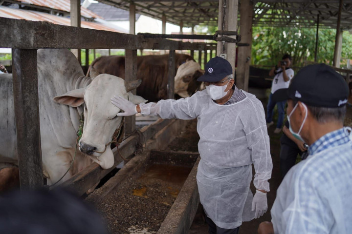 Vaksinasi PMK di Sumsel Mencapai 60,3%