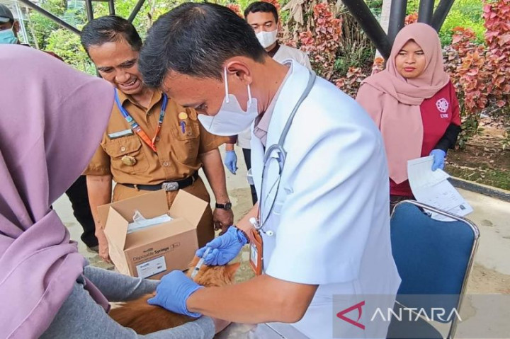 Badan Karantina Pertanian Banjarmasin Vaksinasi Rabies 100 Hewan