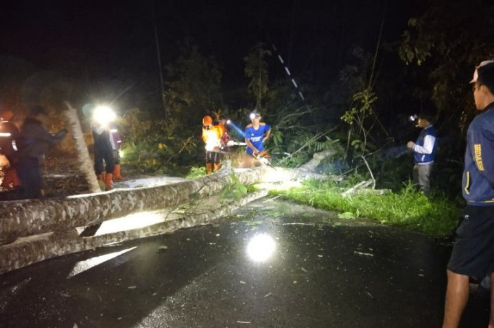 Layanan Listrik di 3 Kecamatan di Natuna Putus Akibat Angin Kencang