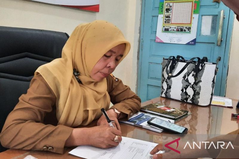 Kota Pariaman Kembali Berstatus KLB Demam Berdarah