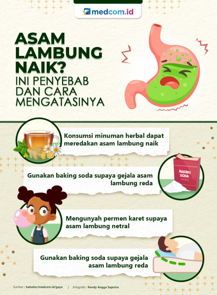 Fungsi Lambung hingga Makanan untuk Menurunkan Mag