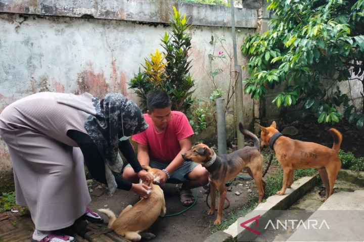 Rejang Lebong Siapkan 2.500 Dosis Vaksin Antirabies