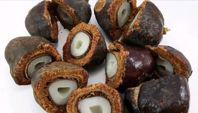 Manfaat Buah Zuriat untuk Kesehatan dan Cara Mengkonsumsi