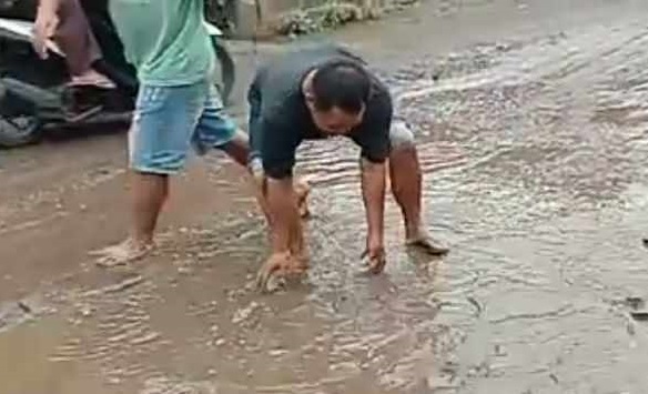 Kesal Jalan Berlubang, Warga Blitar Sebar 30 Kg Lele di Jalanan