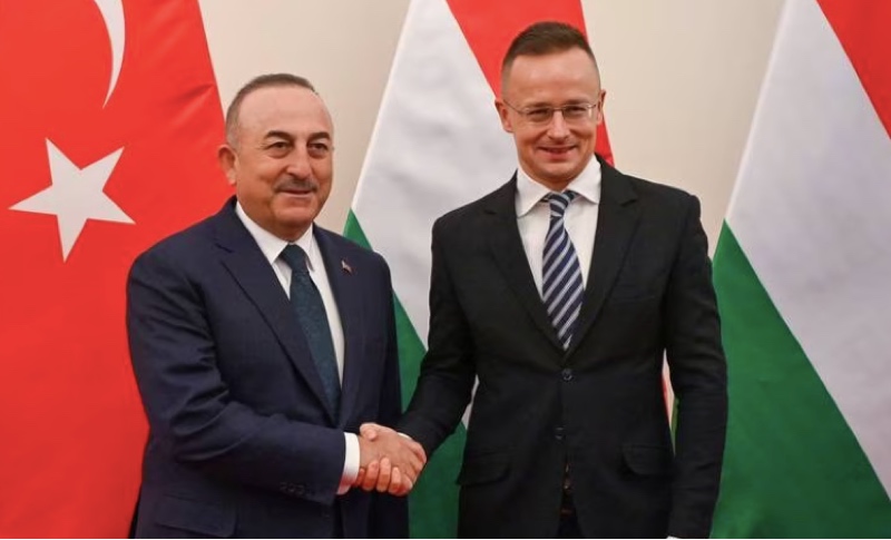 Menteri Luar Negeri Hongaria Peter Szijjarto dan Menlu Turki Mevlut Cavusoglu di Budapest. Foto: EPA