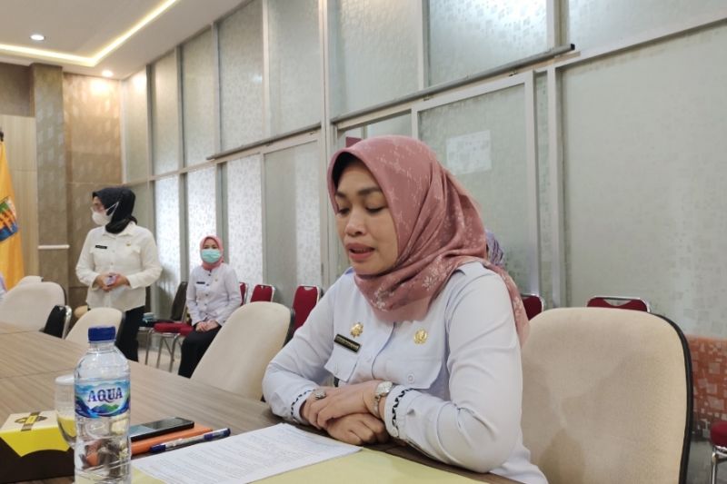 Kepala Dinas Pemberdayaan Perempuan dan Perlindungan Anak (PPPA) Provinsi Lampung Fitrianita Damhuri saat memberi keterangan. ANTARA/Ruth Intan Sozometa Kanafi.