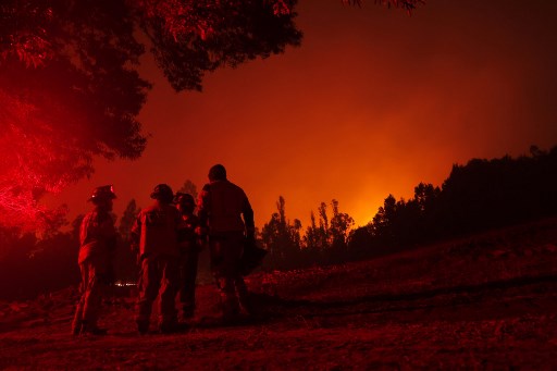 Kebakaran Hutan Chile Tewaskan 24 Orang, Bantuan Internasional Mulai Berdatangan