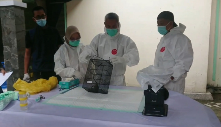 Dinkes Tulungagung Uji Sampel Ginjal Tikus usai 3 Warga Meninggal Terinfeksi Leptospirosis