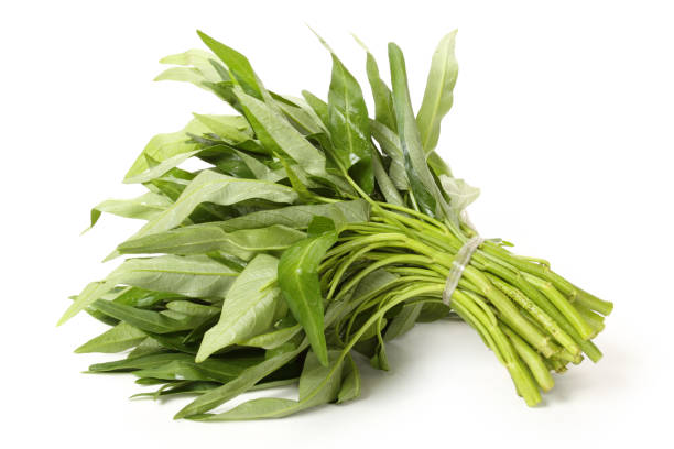 ilustrasi kangkung yang memiliki banyak manfaat untuk kesehatan tubuh, foto: pexels