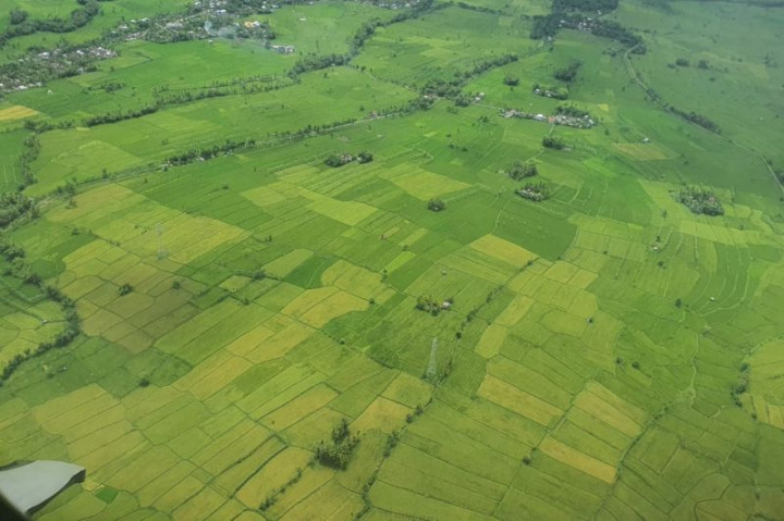 Bulog NTB Ingin Ada Penyesuaian Harga Pembelian Gabah Petani