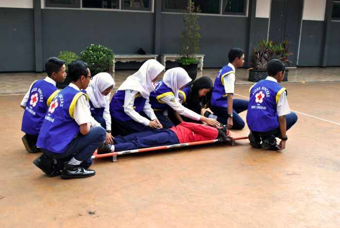 Mengenal PMR: Pengertian, Prinsip, Tugas, dan Tingkatannya