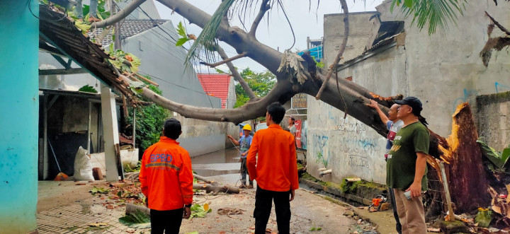2 Rumah di Bekasi Tertimpa Pohon Tumbang, Kerugian Mencapai Puluhan Juta Rupiah