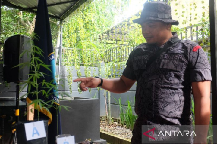 1 Kg Ganja di Balikpapan Disita BNN dan Bea Cukai