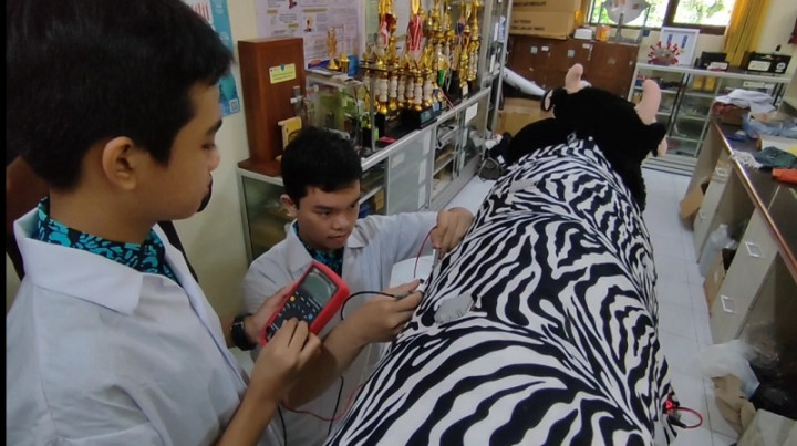 Siswa MTsN 1 Malang Kembangkan 'Kulit Zebra' demi Tingkatkan Produksi Susu Sapi