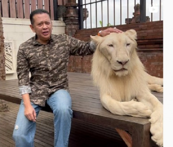 Ketertarikan Bamsoet Terhadap Satwa Liar Menuai Kontroversi, Ini Sejumlah Koleksinya