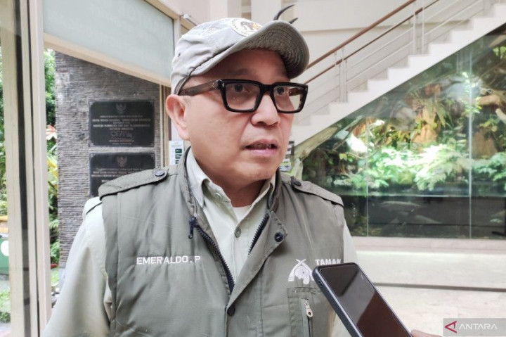 Taman Safari Bogor Imbau Pengunjung Tak Menghentikan Kendaraan di Area Hewan Buas