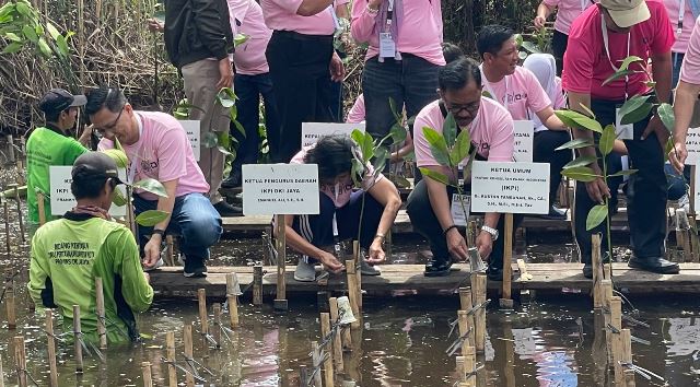 IKPI dan DJP Jakut Tanam Ribuan Mangrove
