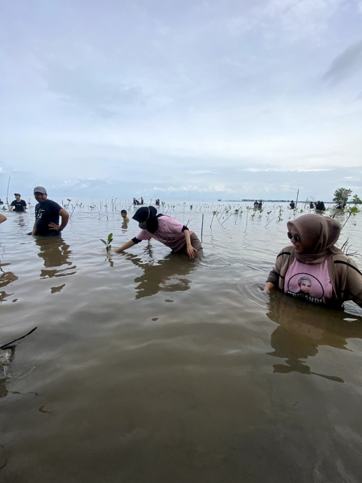 Jaga Lingkungan, Relawan Ajak Masyarakat Tanam Bibit Mangrove