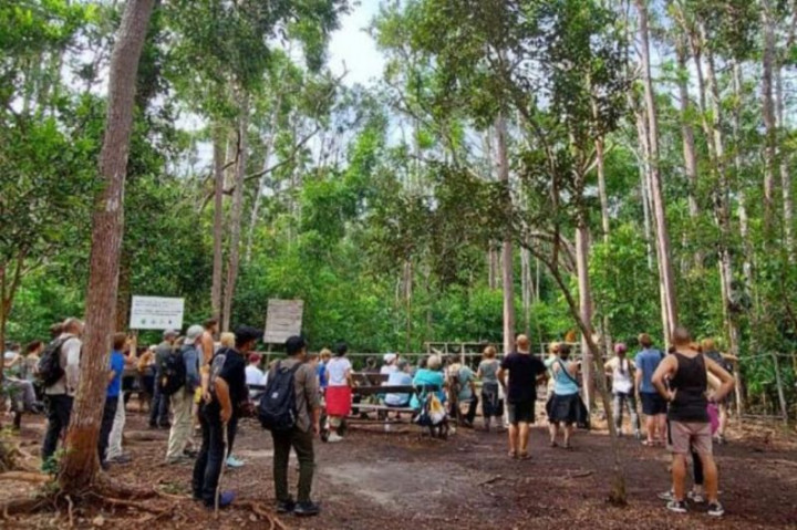 18 Ribu Lebih Wisatawan Asing Kunjungi Tanjung Puting Selama 2022