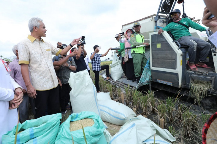 Petani Milenial Diajak Ikut Genjot Prodiktivitas Padi Saat Panen Raya