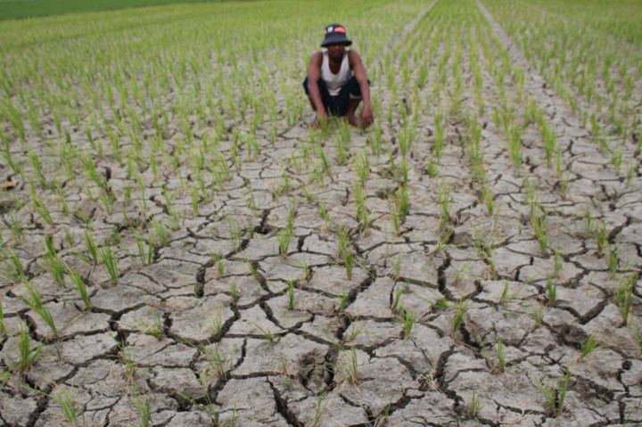 World Water Forum Antisipasi Dampak Kekeringan