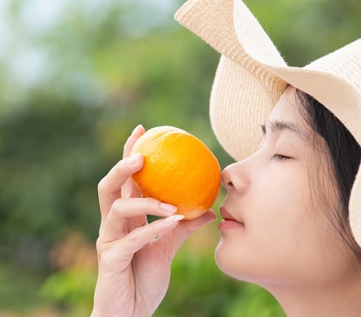 Vitamin C mendukung penyerapan zat besi tubuh, yang penting untuk pertumbuhan rambut yang sehat. (Foto: Ilustrasi. Dok. Freepik.com)