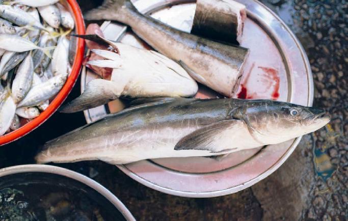 Jenis Pangan Ini Jadi Cara Ampuh Lawan <i>Stunting</i> di Indonesia