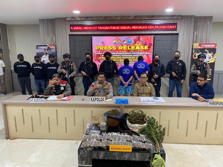 Ladang Ganja 1 Hektare di Bone Sulsel, 2 Warga Ditangkap