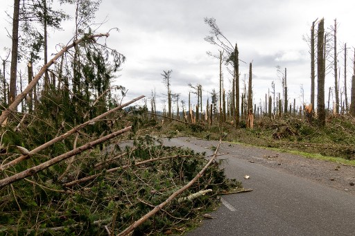 Jumlah Korban Hilang Topan Gabrielle Selandia Baru Makin Sedikit, Komunikasi Mulai Lancar