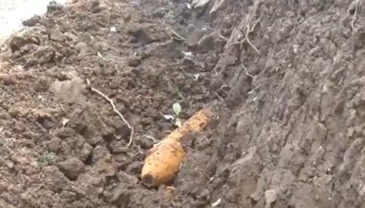 Warga Tulungagung Temukan Bom Diduga Peninggalan Era Kolonial