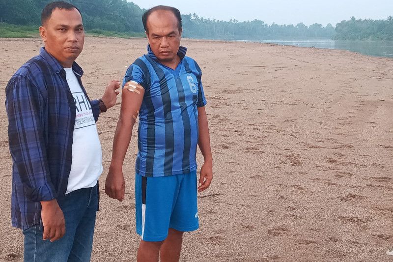 BKSDA Riau Minta Warga Berbagi Ruang dengan Buaya di Sungai Kuantan