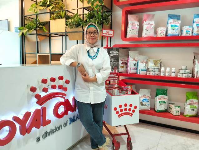 Kapan Sebaiknya Anak Kucing Lepas Susu dari Induk?