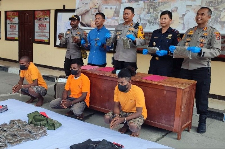 Polresta Jayapura Bekuk 3 Warga Papua Nugini Penyelundup 11 Kg Ganja