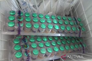 Bengkulu Minta Bantuan 30 Ribu Dosis Vaksin Rabies ke Pusat