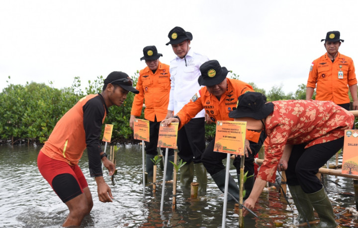 Jaga Kelestarian Lingkungan, 1.000 Mangrove Ditanam di Tangerang