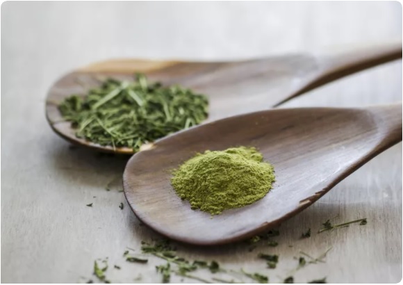 Banyak Khasiat, Ini 5 Manfaat Daun Kelor untuk Kesehatan