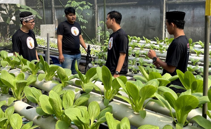 Milenial Kenalkan Potensi Pertanian Hidroponik ke Warga Gempol Pasuruan