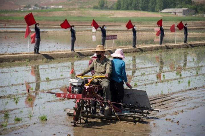 Krisis Pangan Korea Utara Memburuk Sejak Pandemi Covid-19