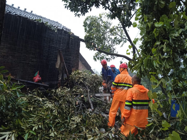 4 Rumah Tertimbun dan 18 Pohon Tumbang Akibat Cuaca Ekstrem di Jepara