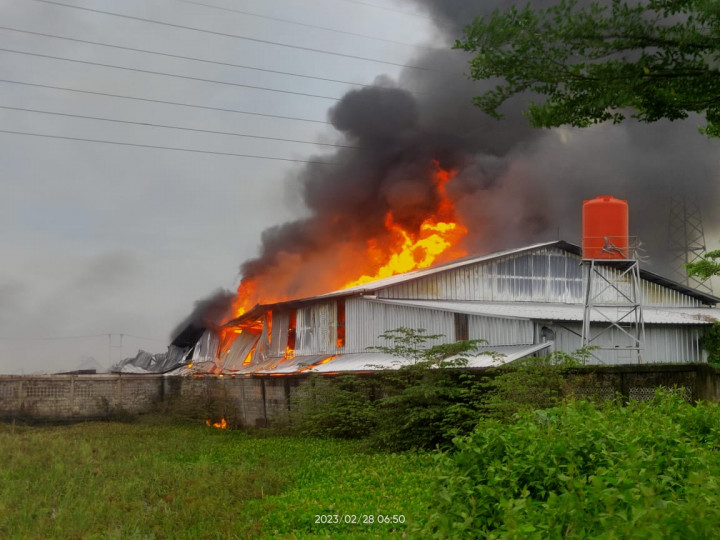 Pabrik Kasur di Cirebon Terbakar Sejak Semalam