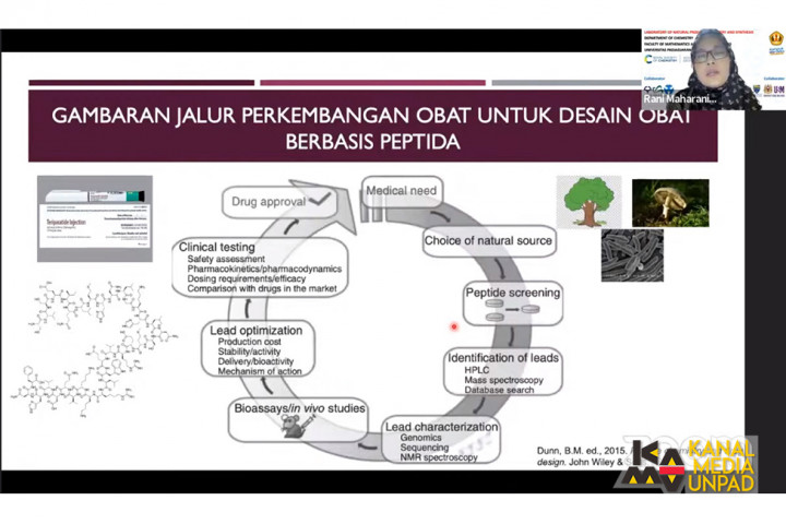 Guru Besar Unpad Ungkap Potensi Senyawa Peptida dalam Pengembangan dan Penemuan Obat