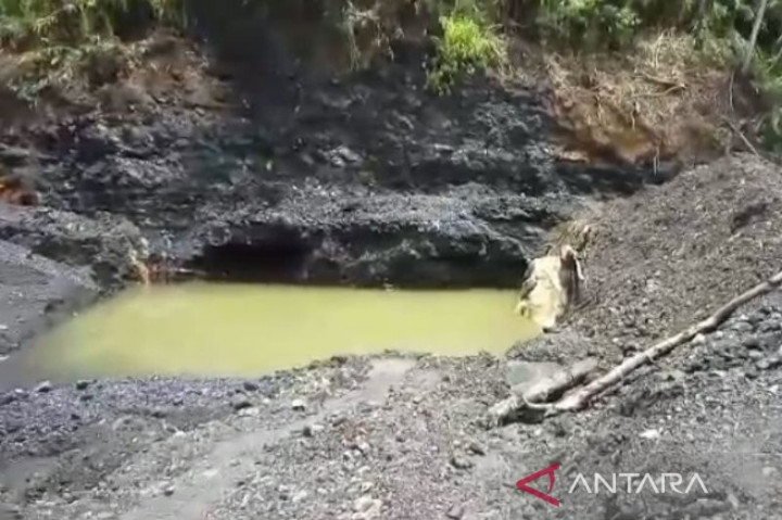 Penambangan Ilegal di Hutan Lindung Bukit Daun Bengkulu Dihentikan