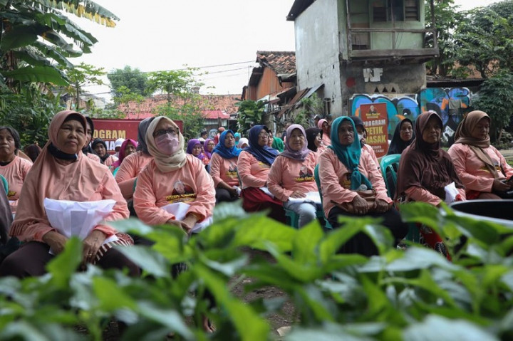 Manfaatkan Lahan Tidur di Jakpus, Warga Tanam 250 Pohon Cabai