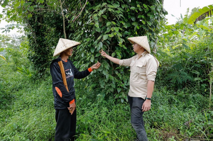 Kelompok Tani di Garut Dibina untuk Maksimalkan Lahan Gambut