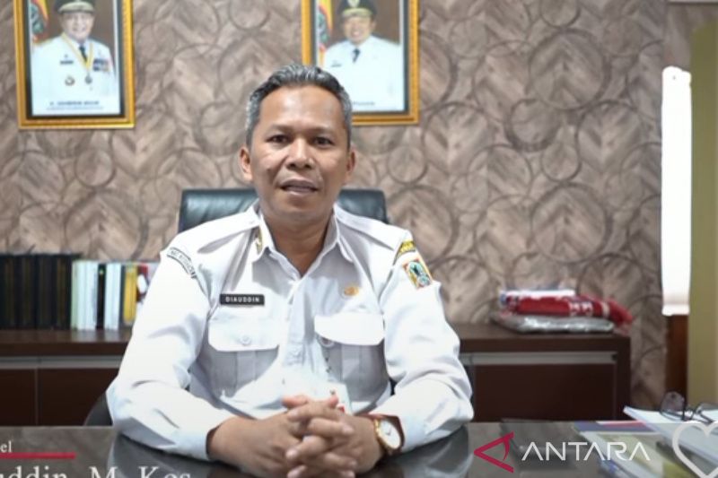Kepala Dinas Kesehatan Kalsel dr Diauddin. (ANTARA/HO)