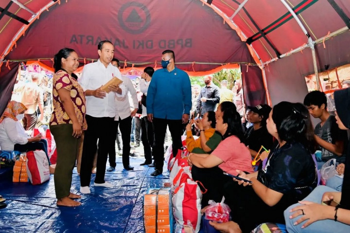 Presiden: Kondisi Tanah Kendala Bangun 'Buffer Zone' Plumpang