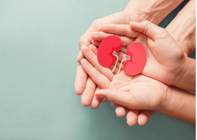 Mengenal Ertythropoiesis Stimulating Agent, Terapi Pasien Gagal Ginjal yang Mengalami Anemia